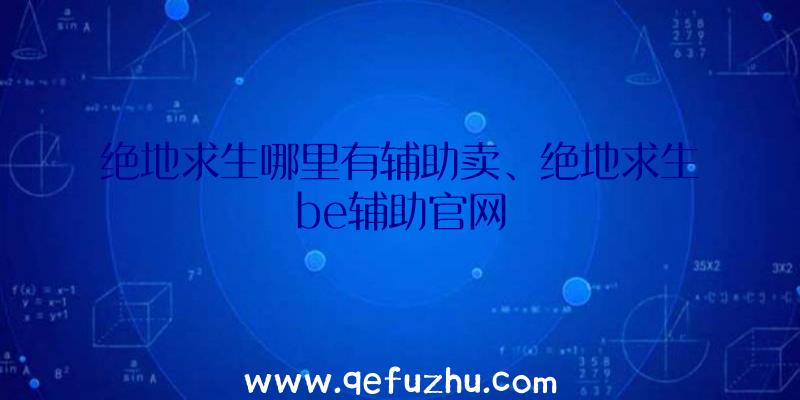 绝地求生哪里有辅助卖、绝地求生be辅助官网