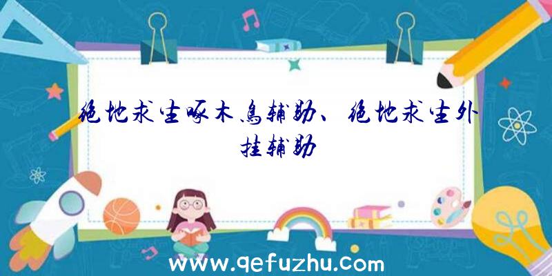 绝地求生啄木鸟辅助、绝地求生外挂辅助