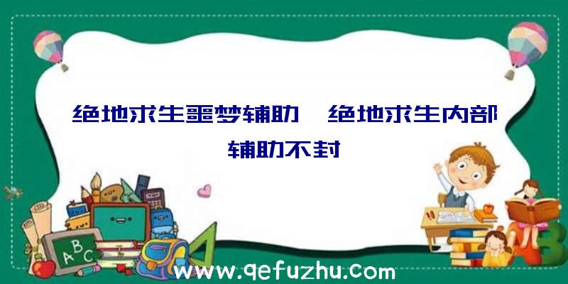 绝地求生噩梦辅助、绝地求生内部辅助不封