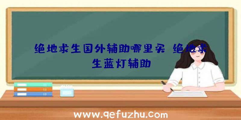 绝地求生国外辅助哪里买、绝地求生蓝灯辅助