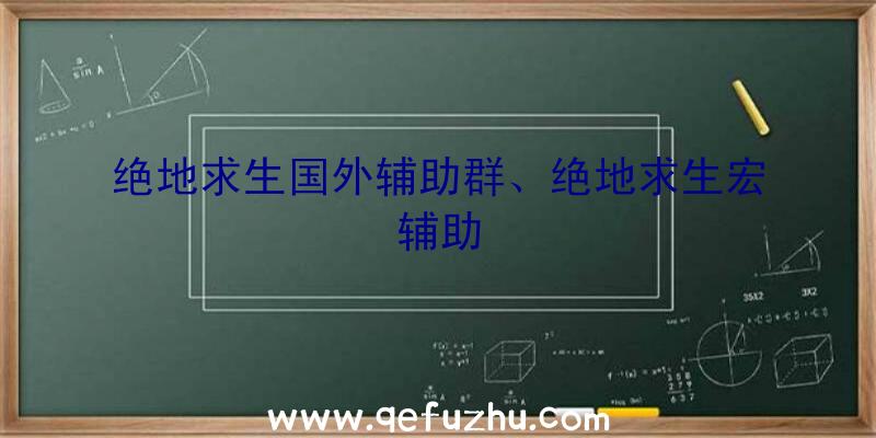 绝地求生国外辅助群、绝地求生宏辅助