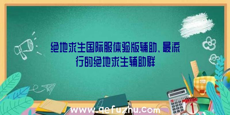 绝地求生国际服体验版辅助、最流行的绝地求生辅助群