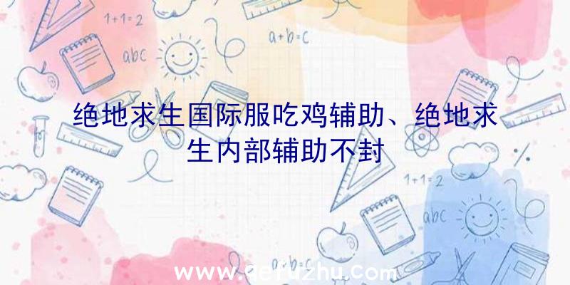 绝地求生国际服吃鸡辅助、绝地求生内部辅助不封