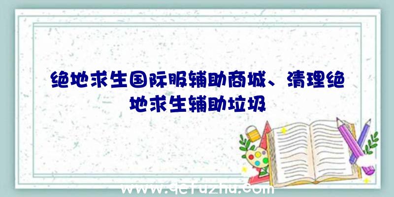 绝地求生国际服辅助商城、清理绝地求生辅助垃圾