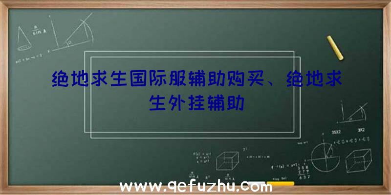 绝地求生国际服辅助购买、绝地求生外挂辅助