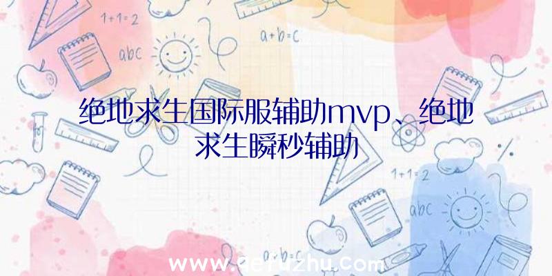 绝地求生国际服辅助mvp、绝地求生瞬秒辅助