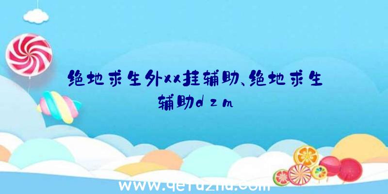 绝地求生外xx挂辅助、绝地求生辅助dzm