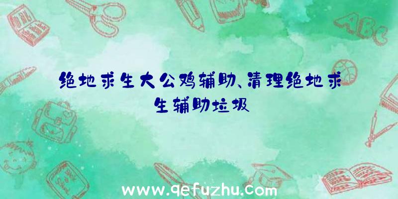 绝地求生大公鸡辅助、清理绝地求生辅助垃圾