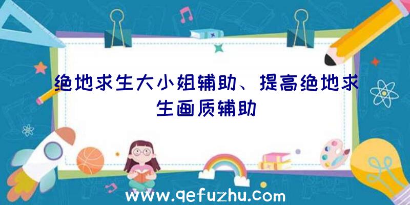 绝地求生大小姐辅助、提高绝地求生画质辅助