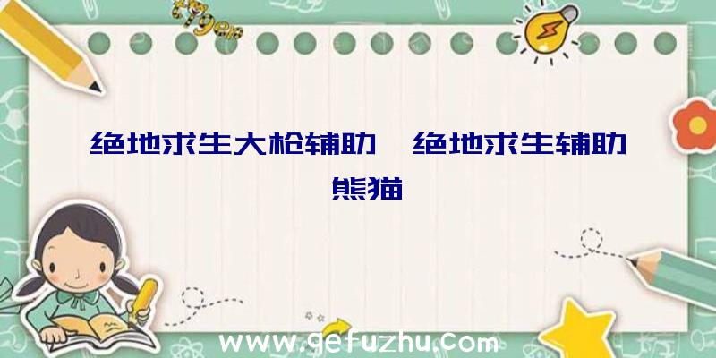 绝地求生大枪辅助、绝地求生辅助