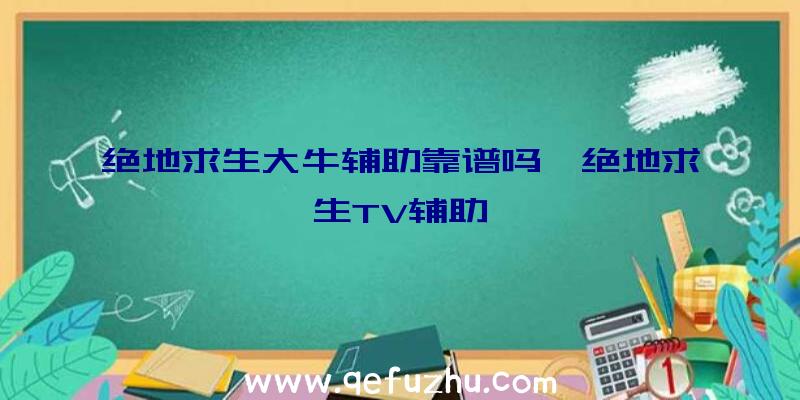 绝地求生大牛辅助靠谱吗、绝地求生TV辅助