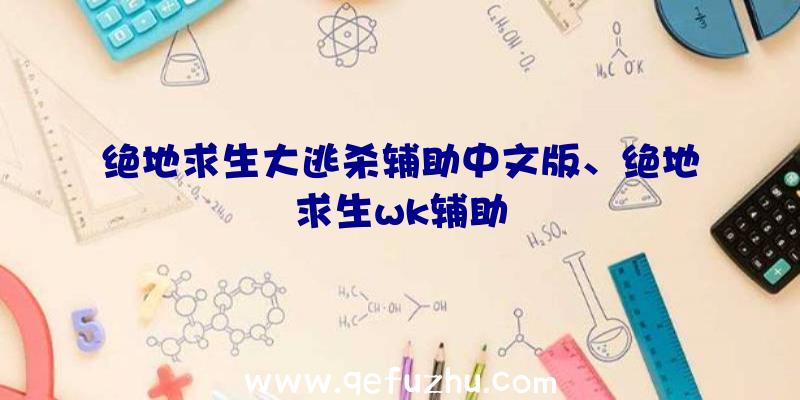 绝地求生大逃杀辅助中文版、绝地求生wk辅助