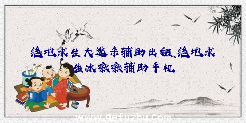 绝地求生大逃杀辅助出租、绝地求生冰墩墩辅助手机