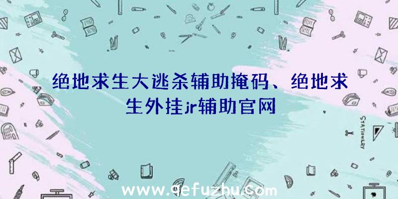 绝地求生大逃杀辅助掩码、绝地求生外挂jr辅助官网