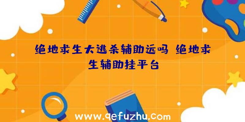 绝地求生大逃杀辅助远吗、绝地求生辅助挂平台