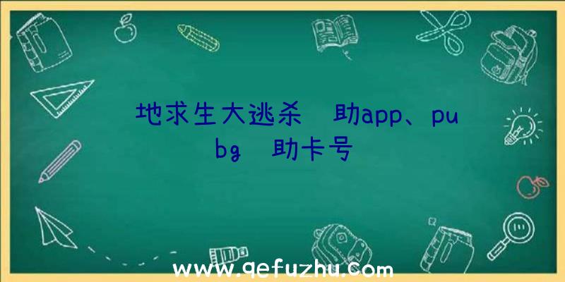 绝地求生大逃杀辅助app、pubg辅助卡号