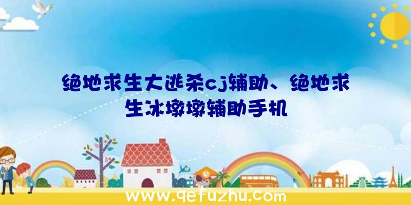 绝地求生大逃杀cj辅助、绝地求生冰墩墩辅助手机