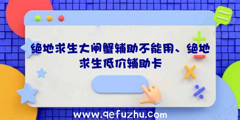 绝地求生大闸蟹辅助不能用、绝地求生低价辅助卡