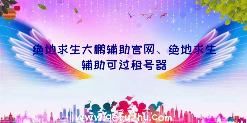 绝地求生大鹏辅助官网、绝地求生辅助可过租号器