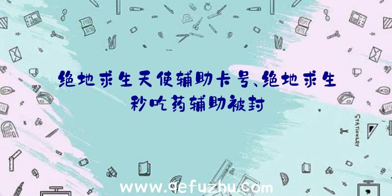 绝地求生天使辅助卡号、绝地求生秒吃药辅助被封