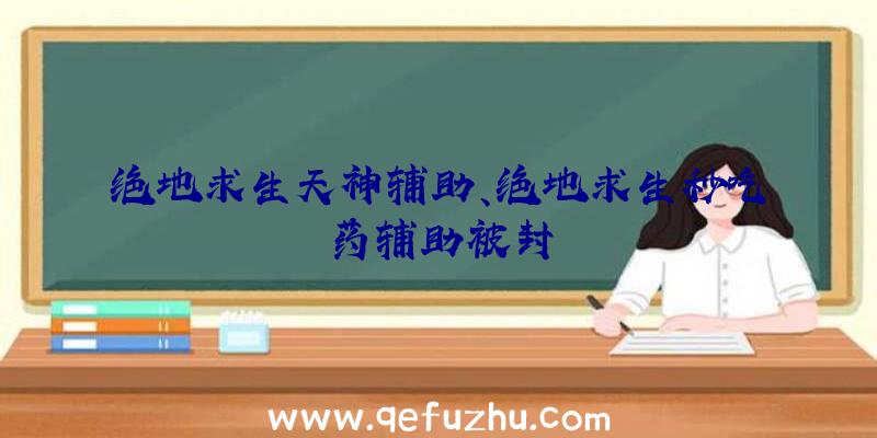 绝地求生天神辅助、绝地求生秒吃药辅助被封