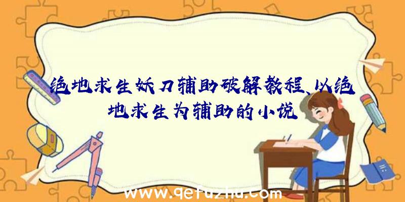 绝地求生妖刀辅助破解教程、以绝地求生为辅助的小说