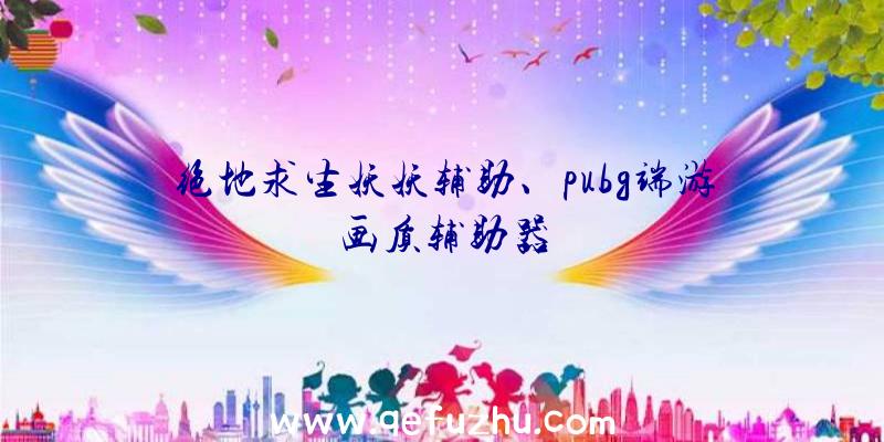 绝地求生妖妖辅助、pubg端游画质辅助器