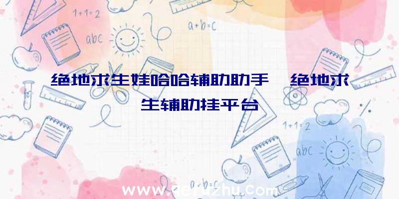 绝地求生娃哈哈辅助助手、绝地求生辅助挂平台