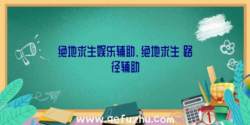 绝地求生娱乐辅助、绝地求生