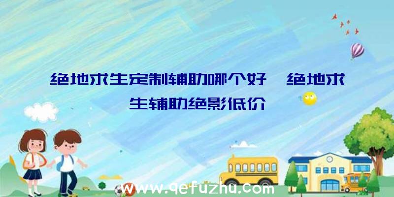 绝地求生定制辅助哪个好、绝地求生辅助绝影低价