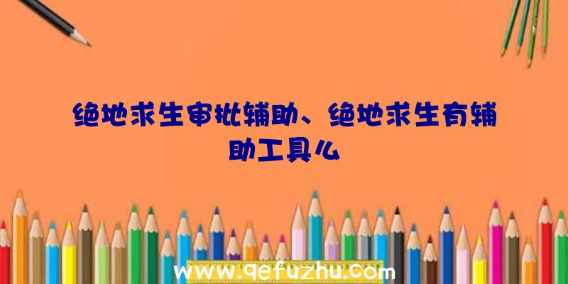 绝地求生审批辅助、绝地求生有辅助工具么