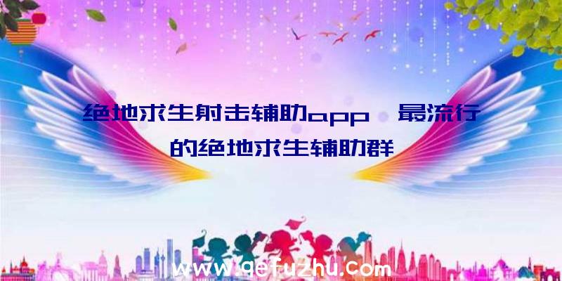 绝地求生射击辅助app、最流行的绝地求生辅助群