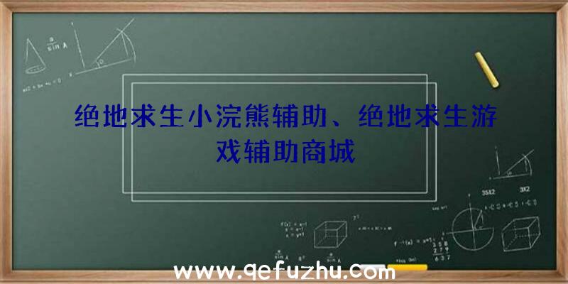 绝地求生小浣熊辅助、绝地求生游戏辅助商城