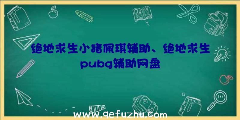 绝地求生小猪佩琪辅助、绝地求生pubg辅助网盘