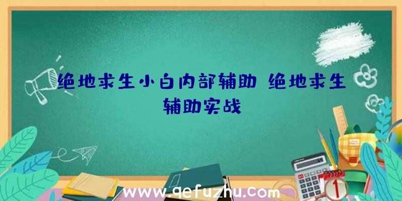 绝地求生小白内部辅助、绝地求生辅助实战