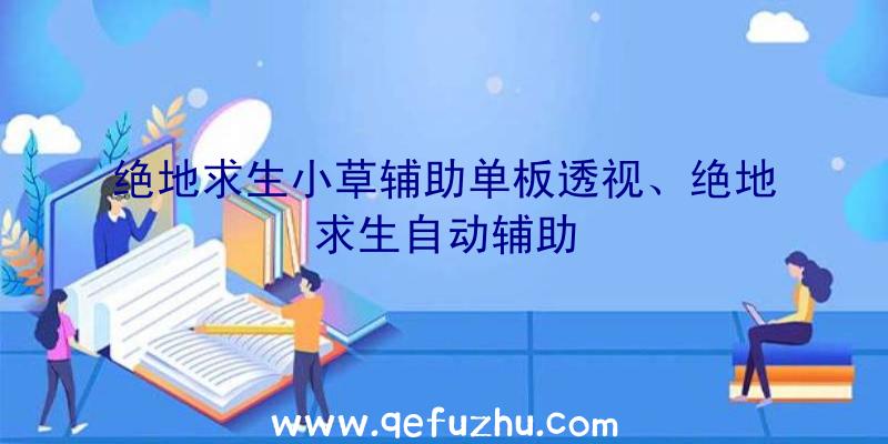 绝地求生小草辅助单板透视、绝地求生自动辅助