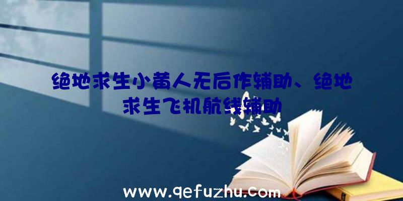 绝地求生小黄人无后作辅助、绝地求生飞机航线辅助