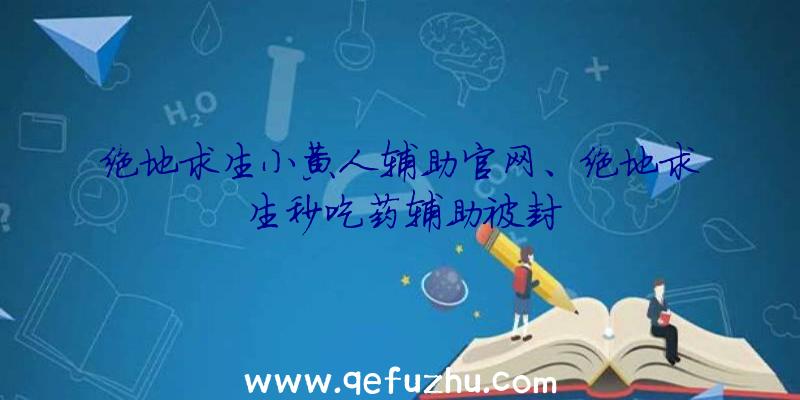 绝地求生小黄人辅助官网、绝地求生秒吃药辅助被封