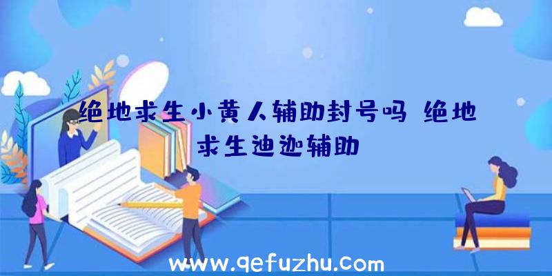 绝地求生小黄人辅助封号吗、绝地求生迪迦辅助