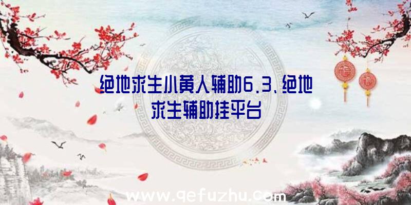 绝地求生小黄人辅助6.3、绝地求生辅助挂平台