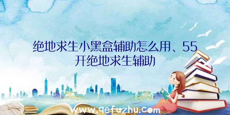 绝地求生小黑盒辅助怎么用、55开绝地求生辅助