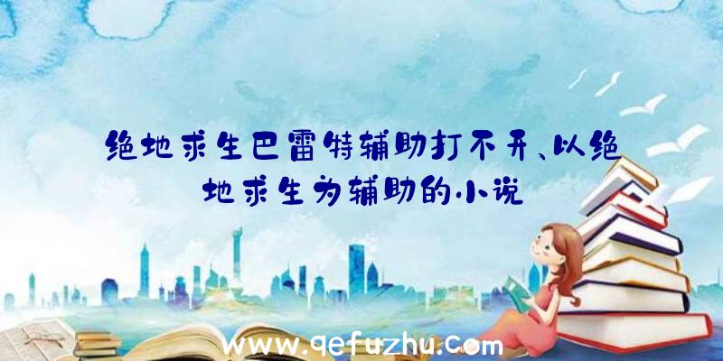 绝地求生巴雷特辅助打不开、以绝地求生为辅助的小说