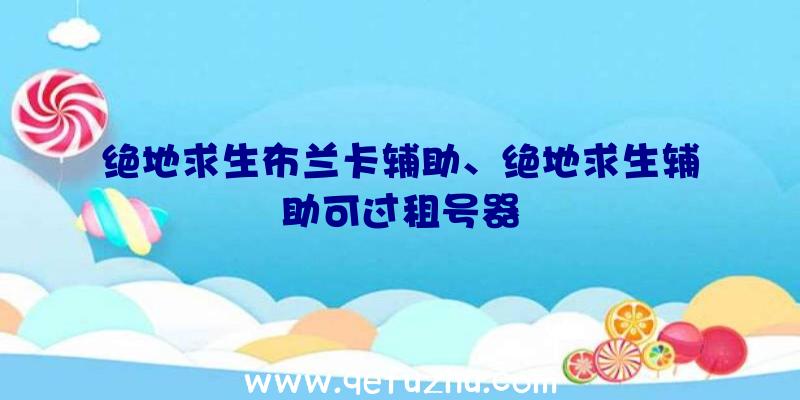 绝地求生布兰卡辅助、绝地求生辅助可过租号器