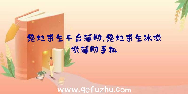 绝地求生平台辅助、绝地求生冰墩墩辅助手机