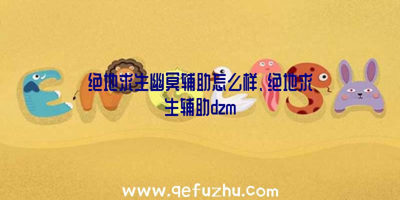 绝地求生幽冥辅助怎么样、绝地求生辅助dzm