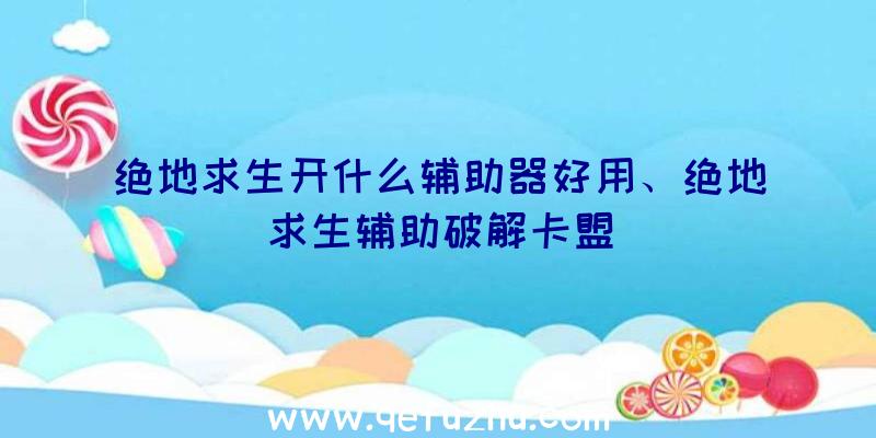 绝地求生开什么辅助器好用、绝地求生辅助破解卡盟