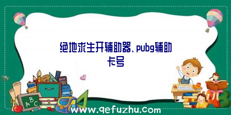 绝地求生开辅助器、pubg辅助卡号