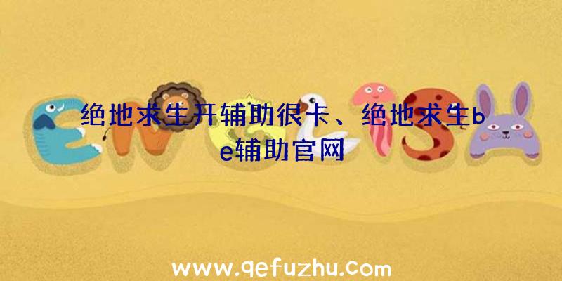 绝地求生开辅助很卡、绝地求生be辅助官网