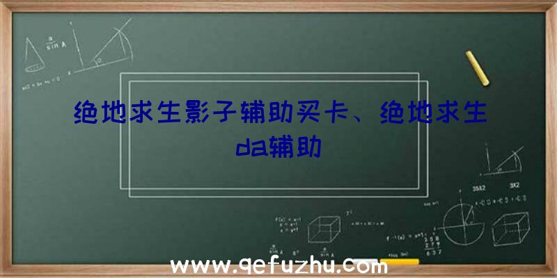 绝地求生影子辅助买卡、绝地求生da辅助