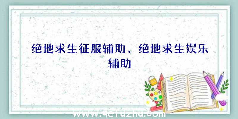 绝地求生征服辅助、绝地求生娱乐辅助